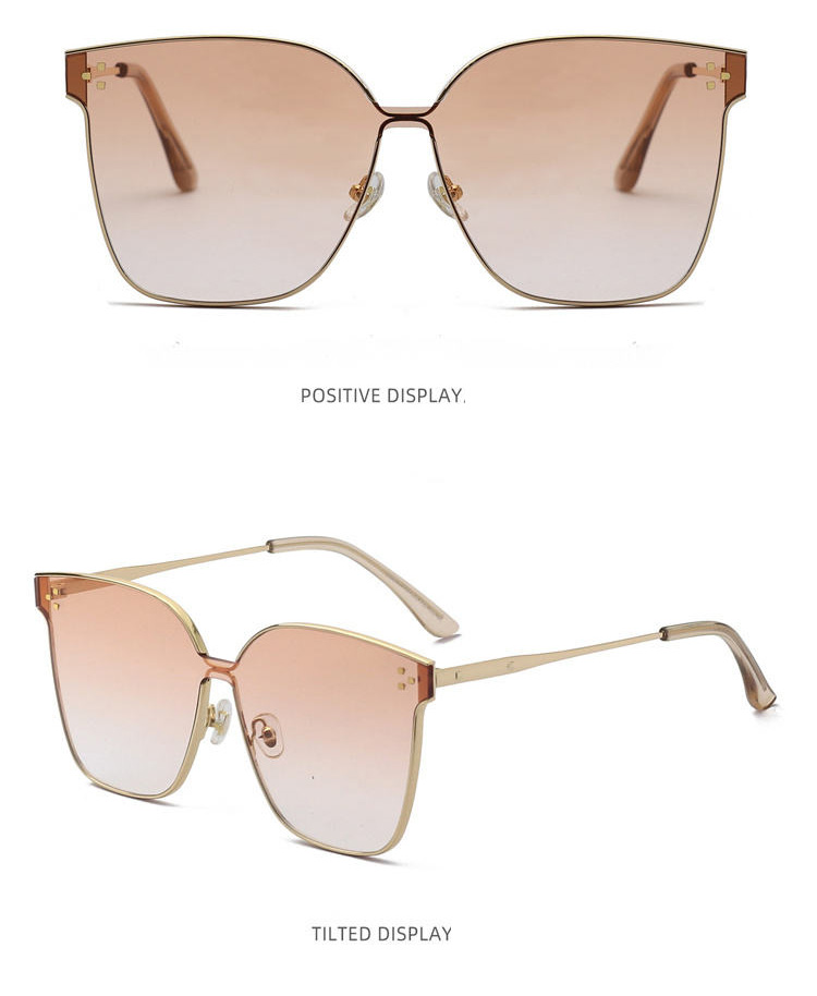 sunglasses in fashion 2022 Tom Ford
